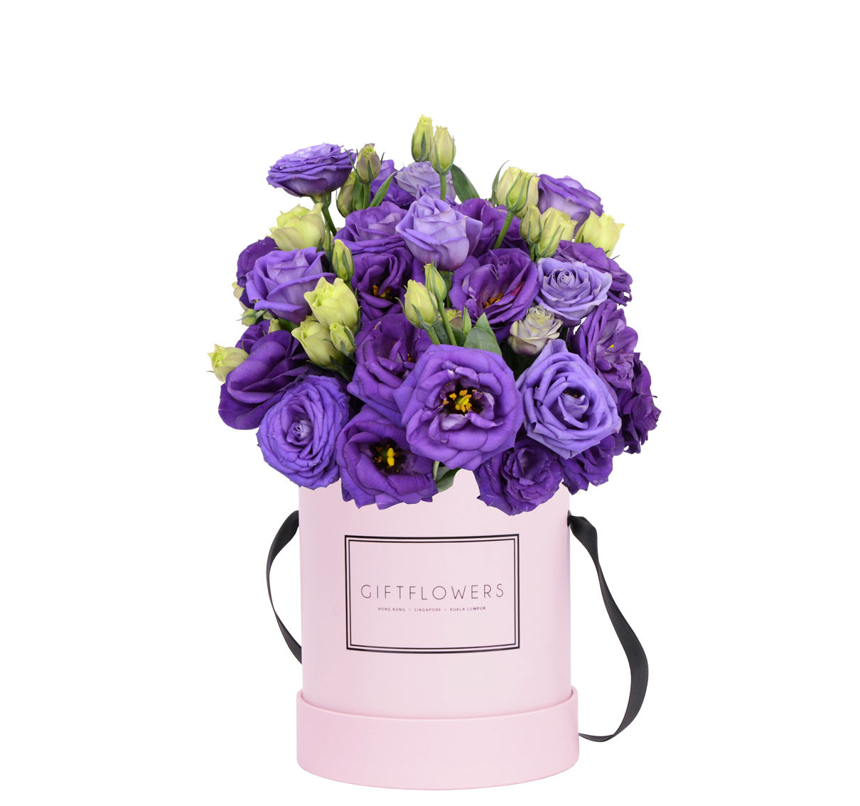 purple-eustoma-pink